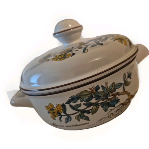 Jolie petite cocotte soupiere - jolie,