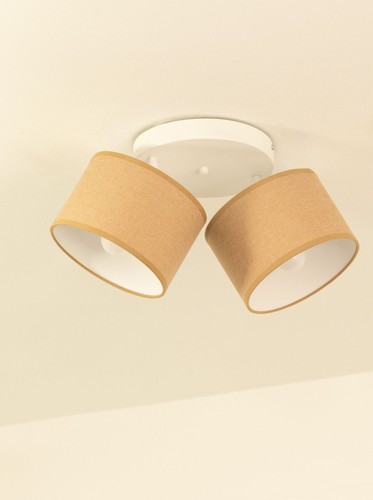 Projecteur plafond tournant - projecteur,