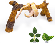 Reptile Climbing Toy Realistic
