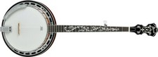 NEW Ibanez 5-String Banjo