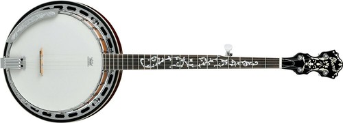 New ibanez string - 5-string, banjo