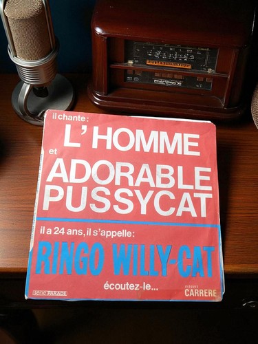Vinyle tours ringo - vinyle,