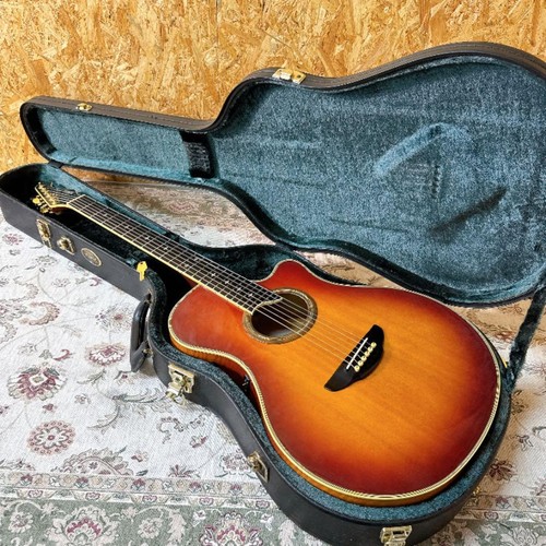 Yamaha apx 10s - yamaha, aggressive