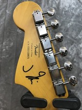 Squier by Fender J Mascis