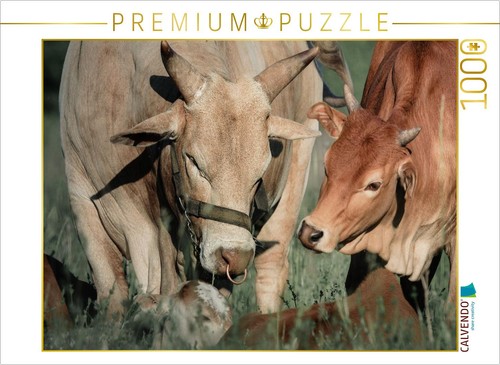 Calvendo puzzle pygmy - calvendo,