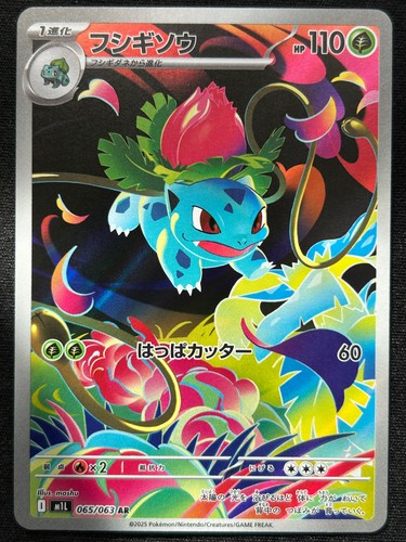 Ivysaur 065 063 - mega, brave