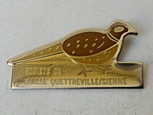 Pin pins badge chasse - badge.,