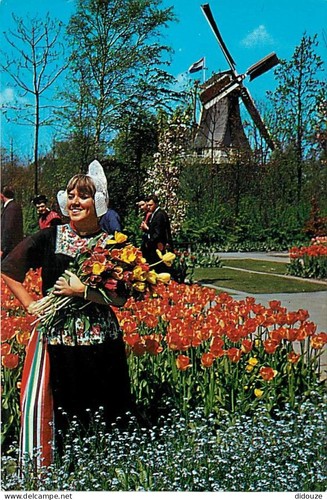 Carte postale moulin à - carte, vent