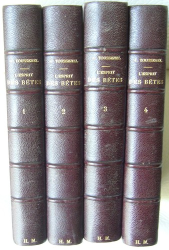 Esprit des bêtes - l’esprit,