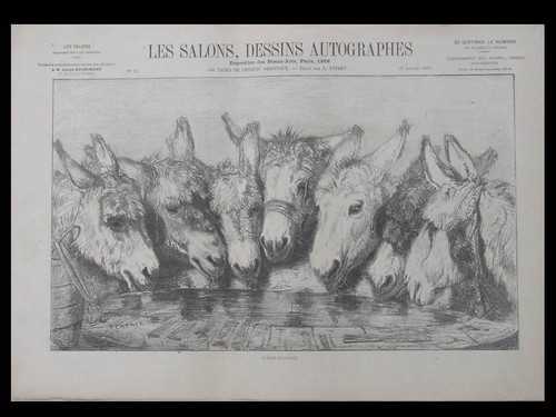Les salons dessins - salons,,