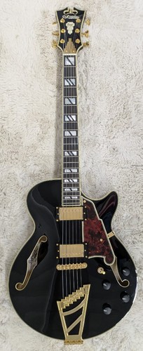 Angelico excel ss - d'angelico,