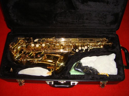 Alto saxophone hard case - alto,