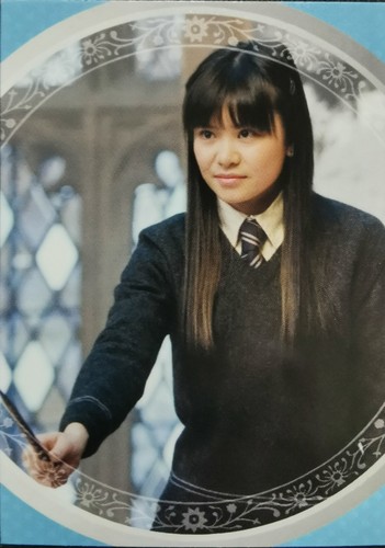 2025 harry potter magical - potter,