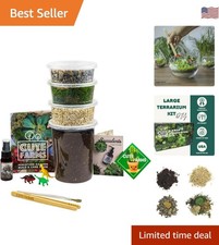 Elegant Large Terrarium