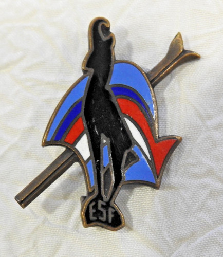 Insigne ancien ski - , montagne