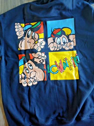 Sweat capuche waikiki - sweat, à
