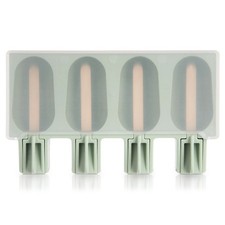 Moule à Glaces Silicone Vert 4 Portions Couvercle Résistant Hermétique