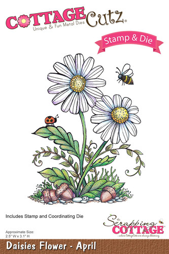 Dies big shot sizzix cottage - shot,