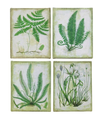 Set green botanical - of, 4
