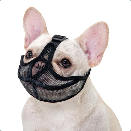 Muselière pour chien - muselière,