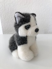 Doudou Husky de Winterberg 15