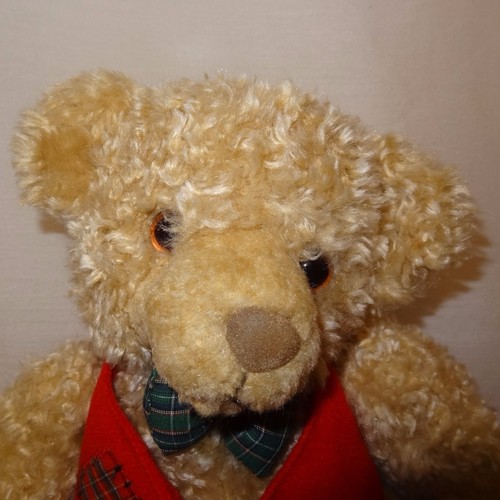 Teddy bear christmas red vest - teddy,