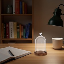  Cloche en verre avec socle en