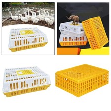 Volaille Transporteur Caisse