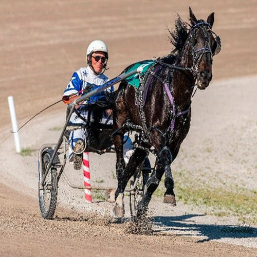 Méthode turf trot - méthode,