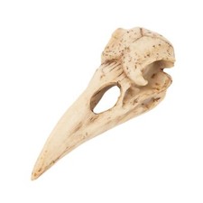 Pendentif crâne d'oiseau