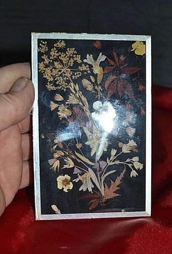 Bel herbier ancien - , en