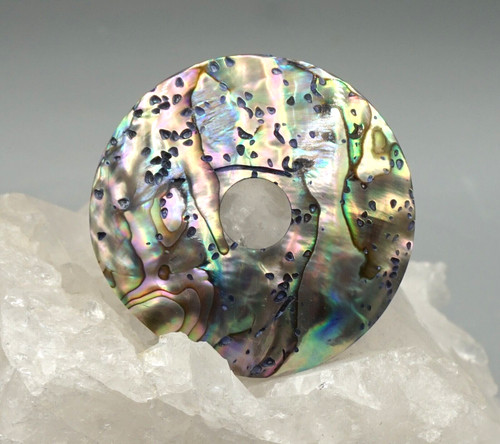Coquille abalone paua donut - d'abalone,