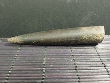 Belemnite megatheutis - belemnite, sp
