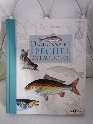 Livre neuf dictionnaire la - neuf, de
