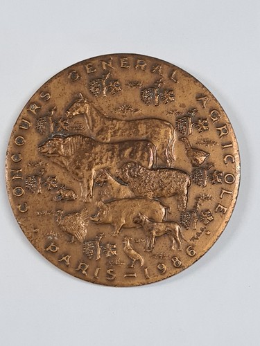 Medaille bronze concours - bronze,