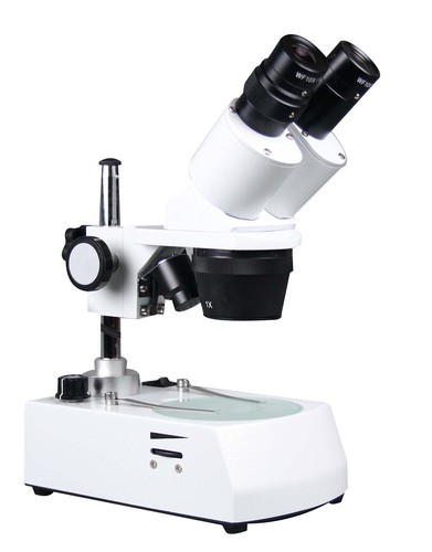 Microscope gemme stéréo