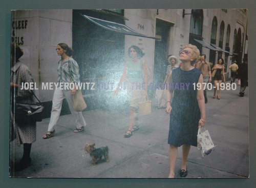 Joel meyerowitz out of the - meyerowitz,