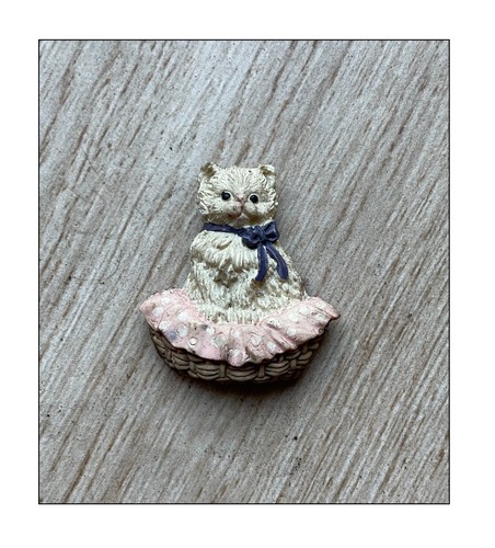 Collection chat magnet siamois - collection,