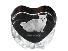 Munchkin Chat - Kristalluhr