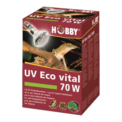 Hobby éco vital - vital, 70