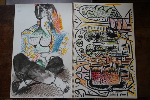 Pablo picasso carnet de la - carnet,