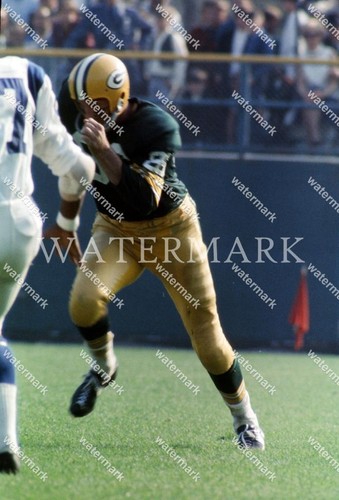 Eh590 boyd dowler green bay - green,