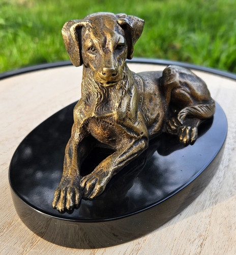 Bronze chien allongé sur - –,