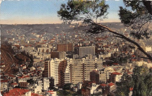 Cpsm alger vue generale - alger, prise