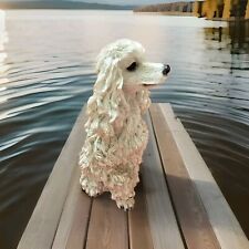 Joli caniche royal de