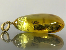PENDENTIF AMBRE avec insectes