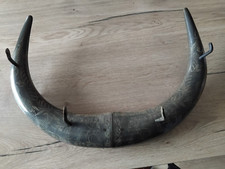 CORNE DE BUFFLE SCULPTE 53 Cm X37 Cm  Java Bali Indonesie PORTE Manteaux
