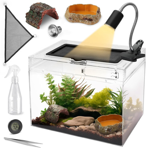 Reptile terrarium starter kit - reptile,