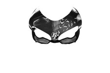 Carénage avant Carbone pour