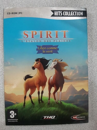 Jeu vidéo spirit - -,